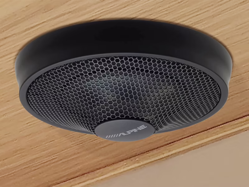 ¿Cómo se dice parlante o altavoz?