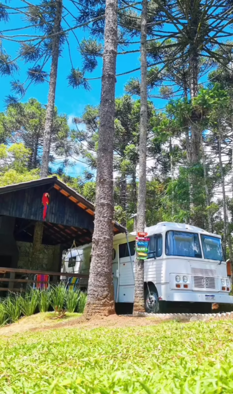 ¿Es seguro viajar en auto a Brasil?