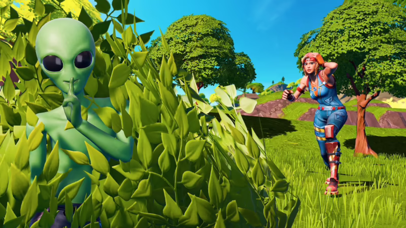 What does Bushcampdad do?