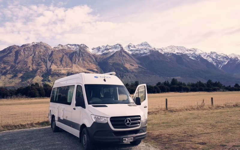 Who is the biggest insurer in NZ?