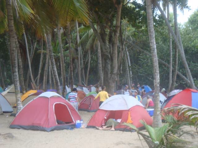 Quelle est la définition du mot 