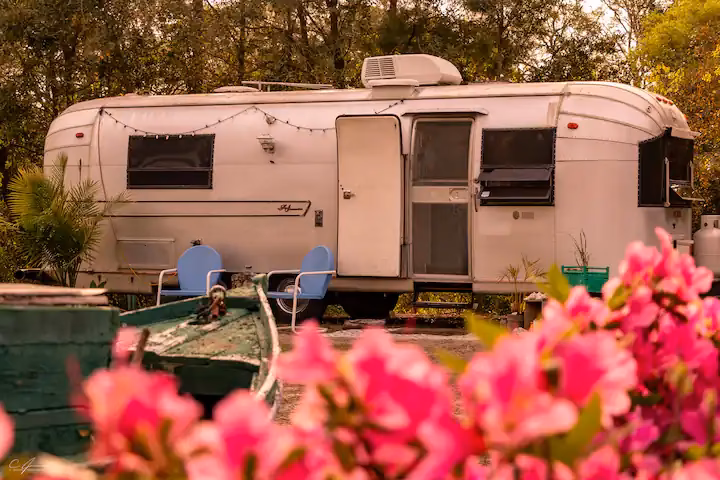 What is the meaning of homestead life?