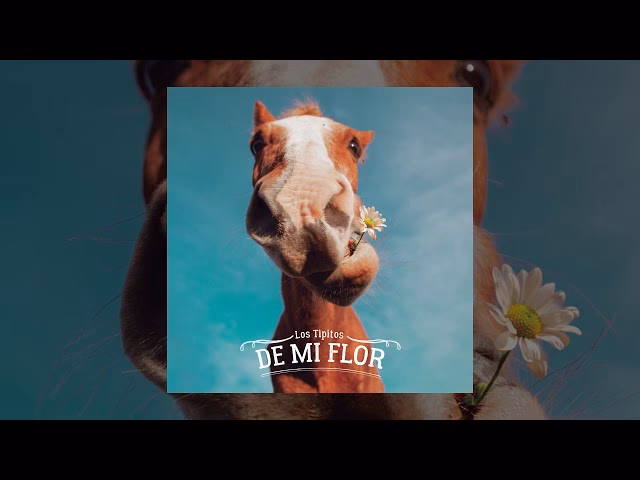 ¿Cuál es el significado de la canción 