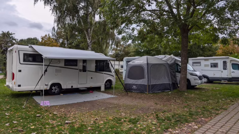 ¿Se puede acampar al aire libre en la Selva Negra?