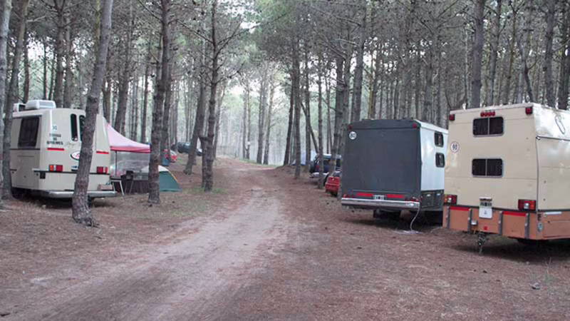 ¿Precio de carpa en Pinamar?