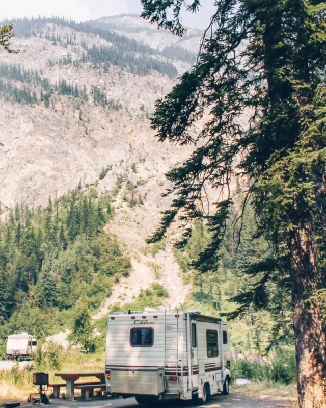 ¿Dónde se pueden ver osos polares en Canadá?