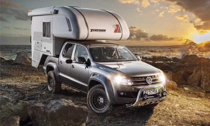 ¿Qué es una célula camper?