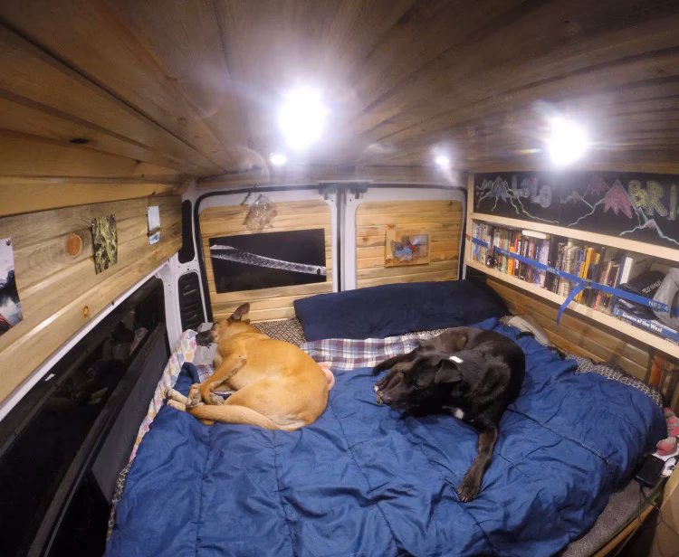 How to secure a dog in a 2 berth motorhome?