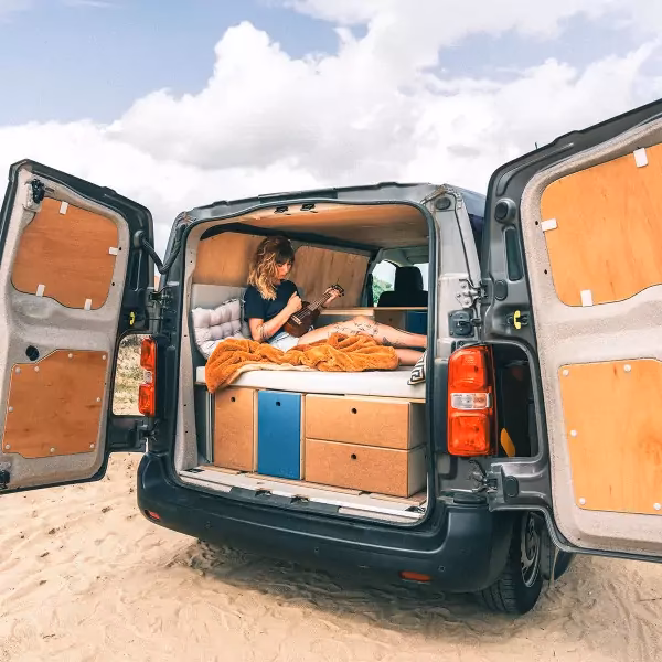 What are common Fiat Scudo problems?