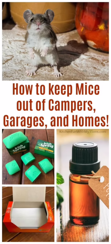 Do dryer sheets repel mice in RVs?