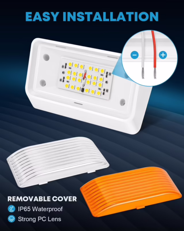 ¿Qué luz usar para plantas de interior?