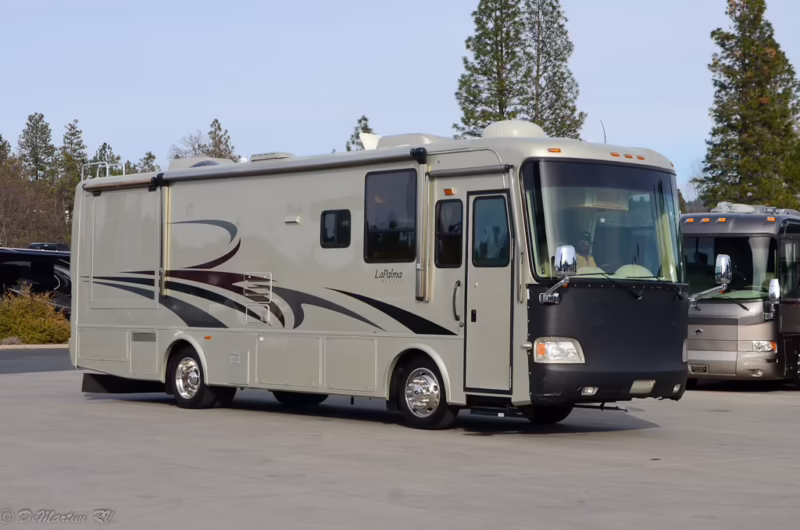 ¿De donde viene el nombre Dipalma?