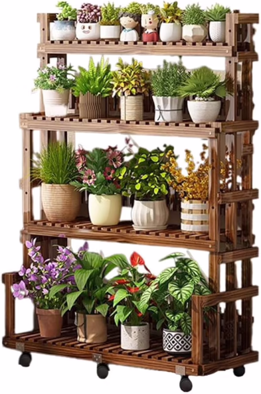 ¿Qué planta puede crecer en maceta?