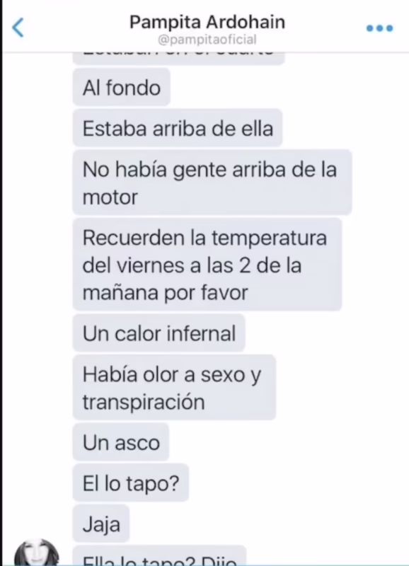 ¿Qué dijo Pampita sobre Vicuña?