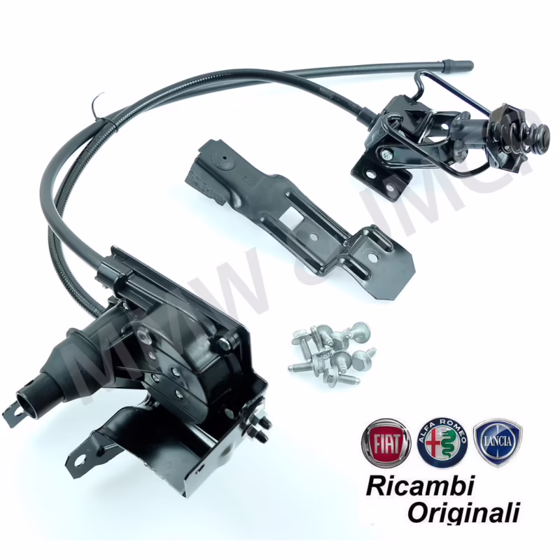 ¿Cuánto carga un Fiat Ducato?