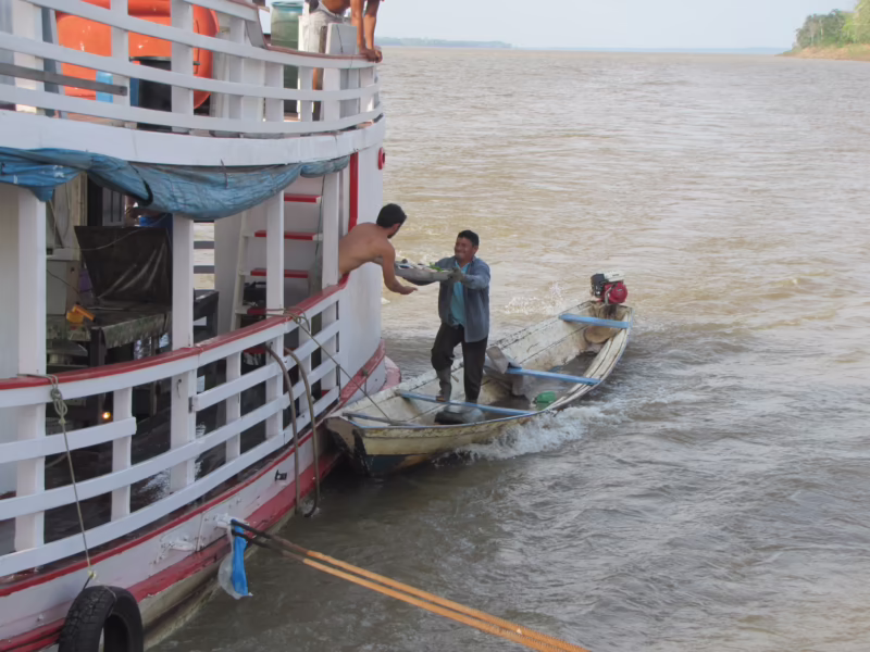 ¿Cuál es la mejor época para ir al Amazonas?