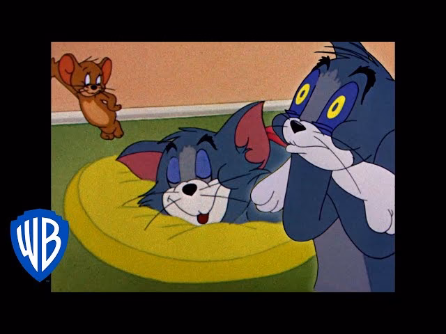 ¿Quién es Nibbles, Tom y Jerry?
