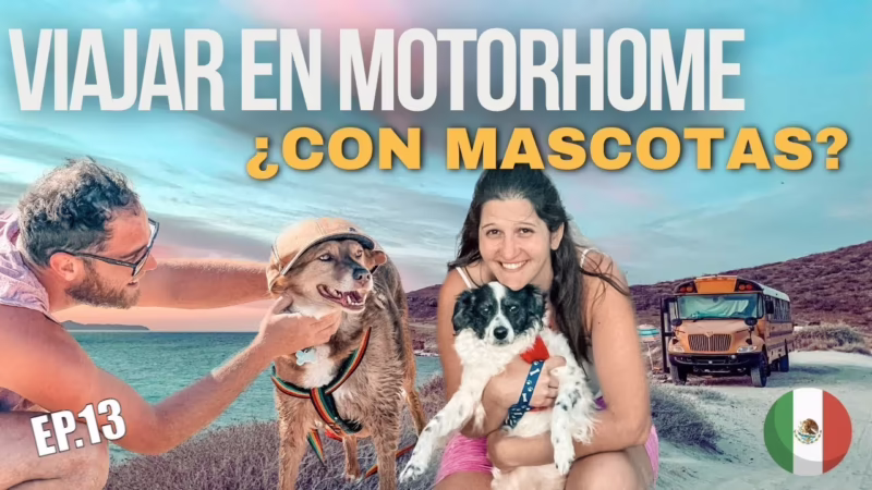 ¿Se puede viajar a Sudamérica con perro?